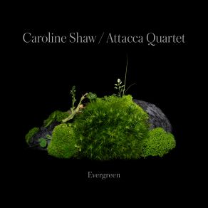Download track The Evergreen – IV. Root Attacca Quartet