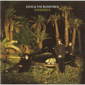 Download track Evergreen Echo & The Bunnymen