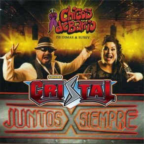 Download track Ya Lo Se Que Tu Te Vas Chicos De Barrio