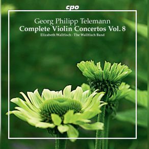 Download track Triple Violin Concerto In F Major, TWV 53: F1: I. Allegro Elizabeth Wallfisch, Wallfisch BandAsako Takeuchi