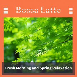 Download track Quiet Reflections By The Creek Bossa Latte