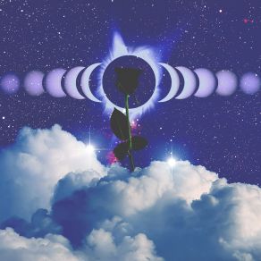 Download track Death Of Naivety W O L F C L U B, Llynks