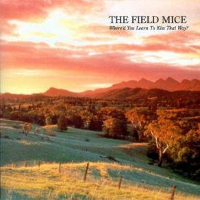 Download track When You Sleep The Field Mice