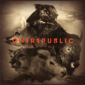 Download track What You Wanted (Acoustic) OneRepublic