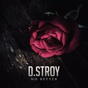 Download track Who Is D. Stroy D - StroySophoria, Niecy