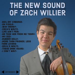 Download track More Than Friends, Less Than Lo Zach Willier