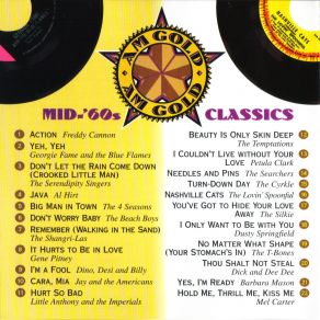 Download track Remember (Walkin' In The Sand) The Shangri - Las