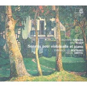 Download track Reger / Cello Sonata In G Minor, Op. 28, 1 Agitato Emmanuelle Bertrand, Pascal Amoyel