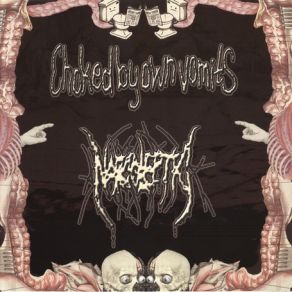 Download track I Eat And I Shit - The Cycle Of Life (Sezeru A Vyseru - Kolobeh Zivota) The Narcoleptic, Own Vomits