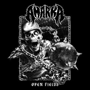 Download track Open Fields Amarka