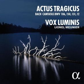 Download track 11. Nach Dir Herr Verlanget Mich BWV 150 - III. Aria Doch Bin Und Bleibe Ich Vergnügt Johann Sebastian Bach
