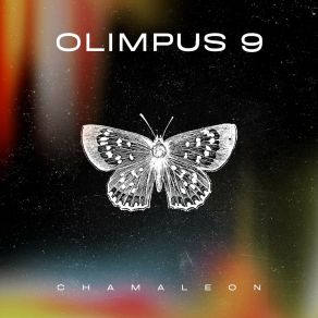 Download track Perfect Harmony Between Mind And Body Olimpus 9