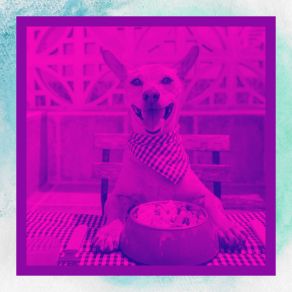 Download track Atmospheric Backdrops For Separation Anxiety Relaxing Dog Music Lounge