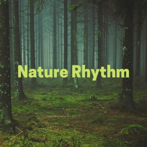 Download track Explorer Ocean Sounds Of Nature Noise