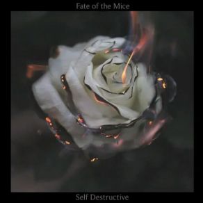 Download track Humor Me! Fate Of The Mice