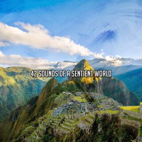Download track Process Information In Your Mind Yoga