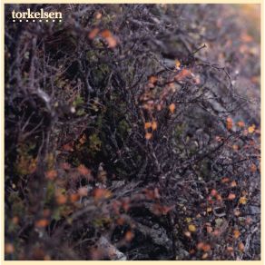 Download track A Friend Torkelsen