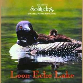 Download track Introspection Dan Gibson'S Solitudes, Hennie Bekker