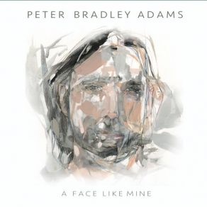 Download track Stay For A While Peter Bradley Adams