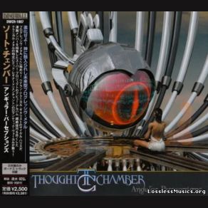 Download track Transmigration Of Souls Thought Chamber