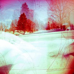 Download track The Giving Tree Orange Crush