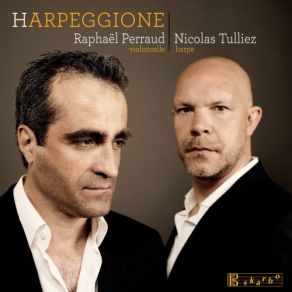 Download track Arpeggione Sonata In A Minor, D. 821 (Arr. N. Tulliez): I. Allegro Moderato - Raphaël Perraud Raphaël Perraud, Nicolas Tulliez