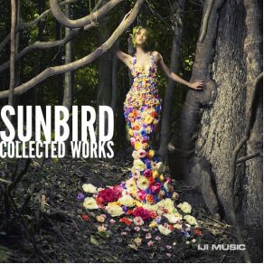 Download track I'M Sure Sunbird