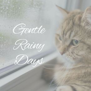 Download track Gentle Rain Nature's Relaxing Sounds Rain Sounds For Relaxation