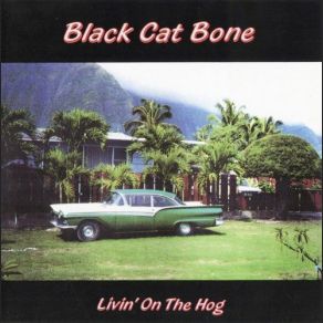 Download track Help The Poor Black Cat Bone