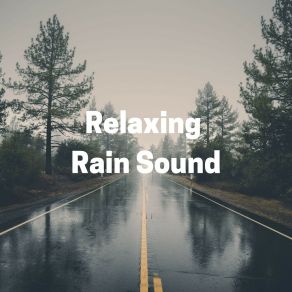 Download track The Sound Of The Rain The Sound Of The RainRain Sounds